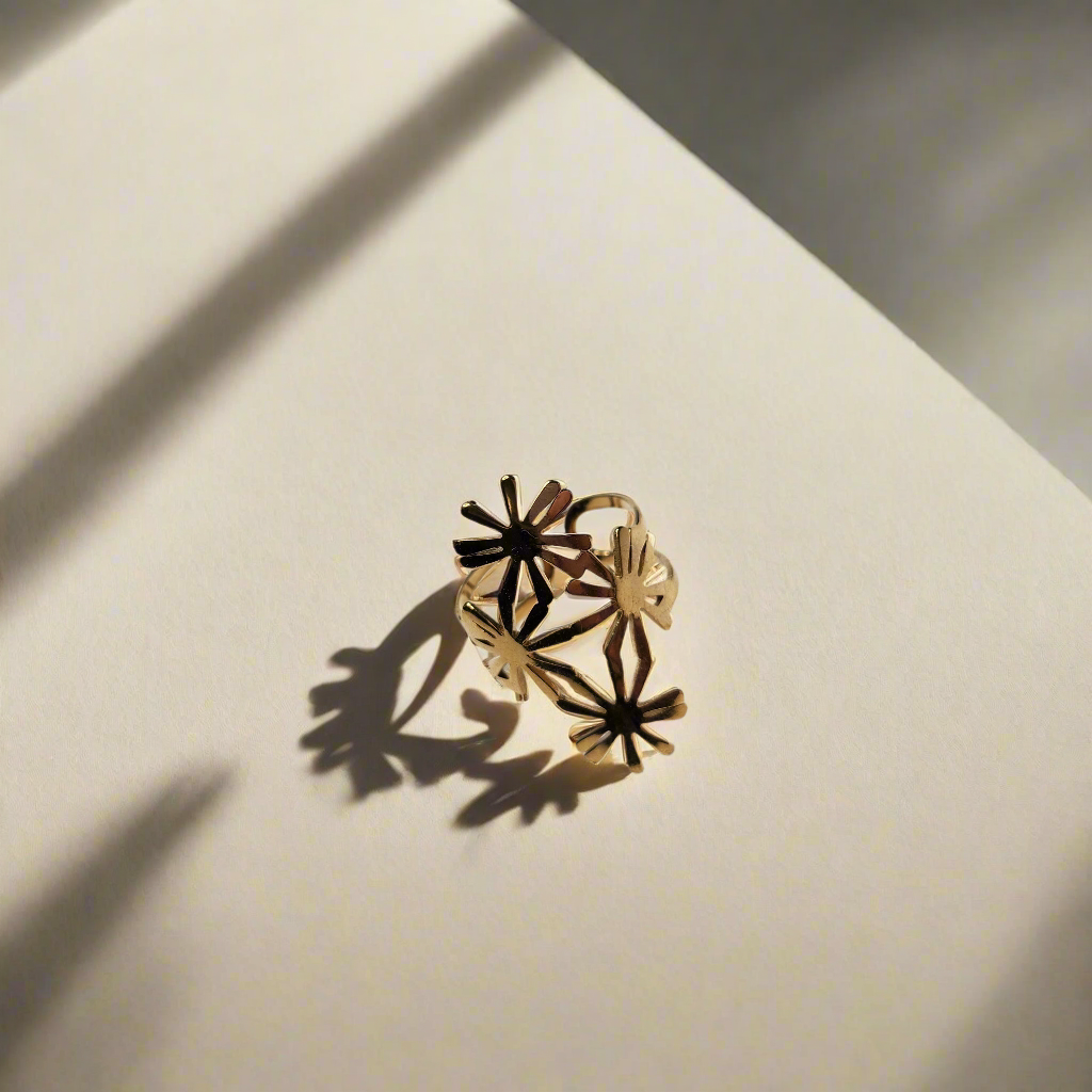Anillo