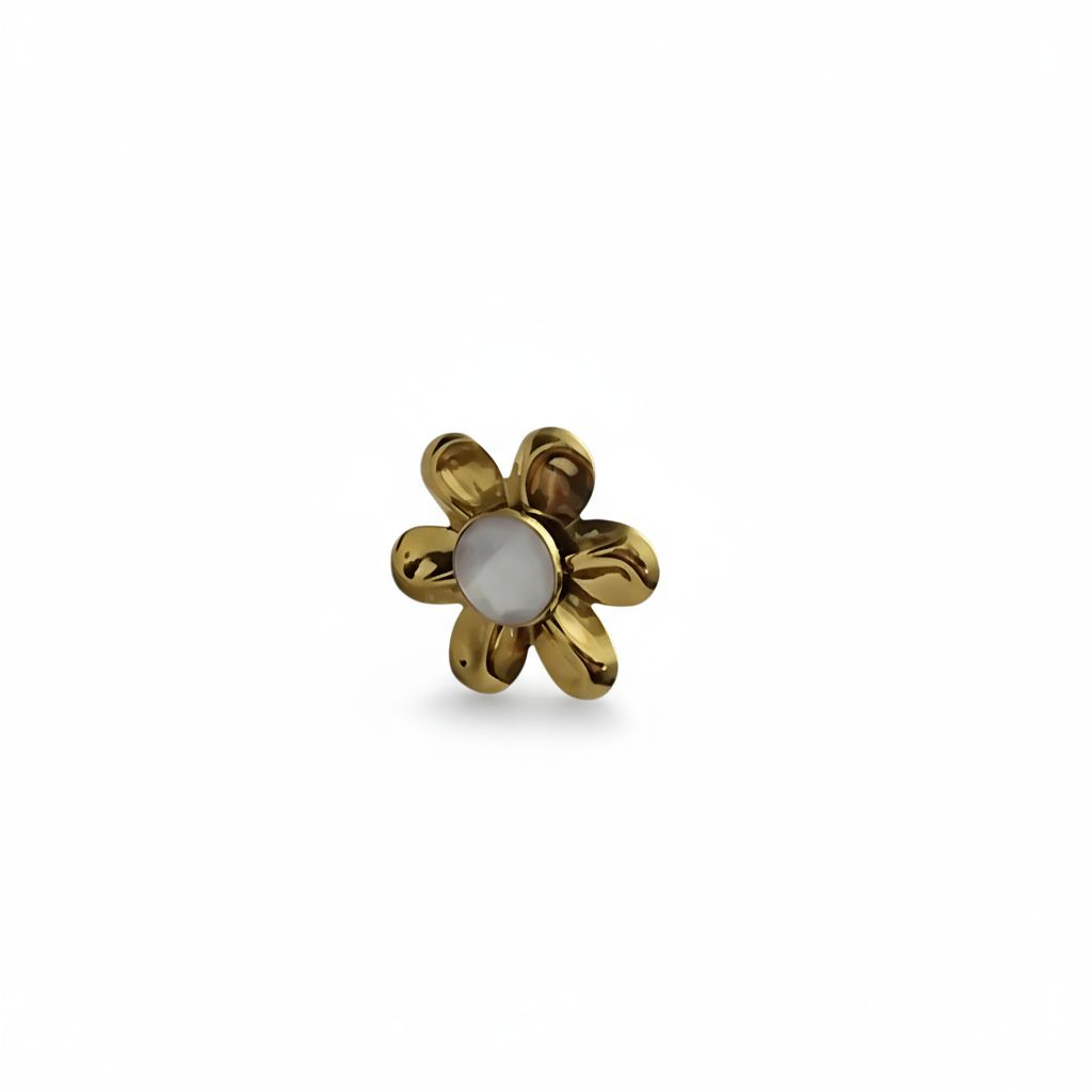 Anillo