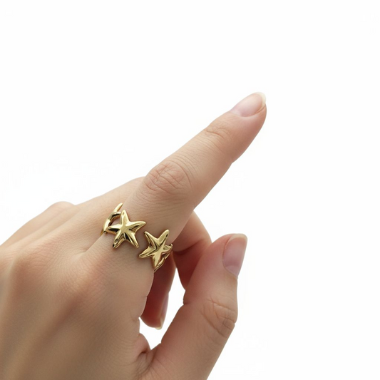 Anillo