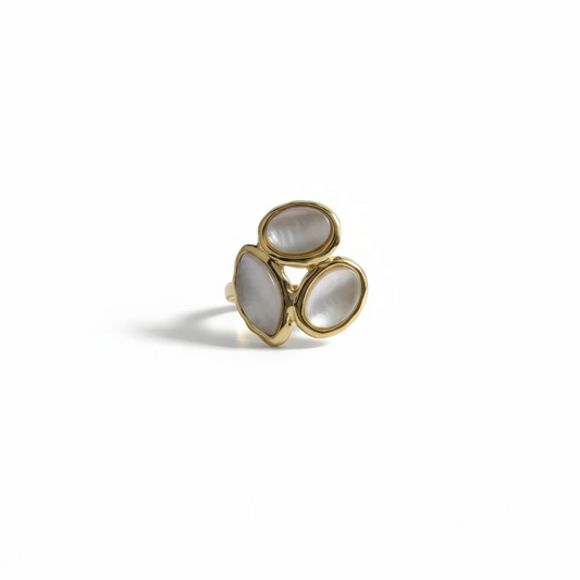 Anillo