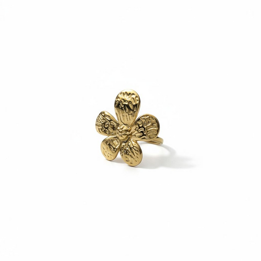 Anillo