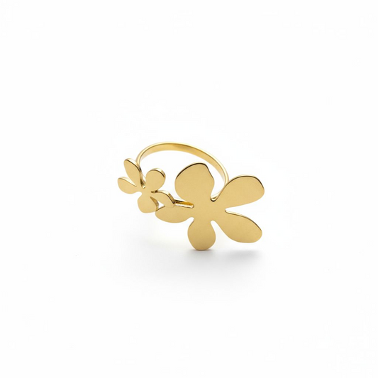 Anillo