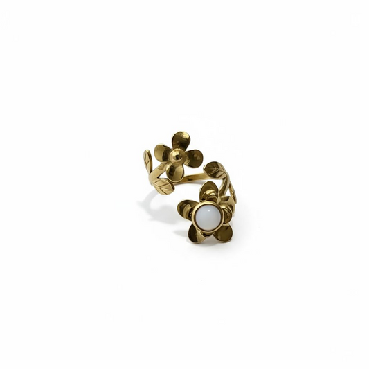 Anillo