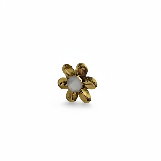 Anillo